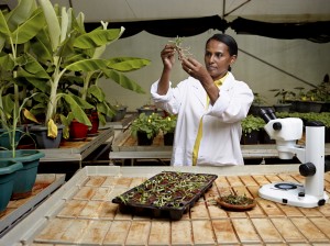 © L'Oréal-UNESCO For Women in Science 2014