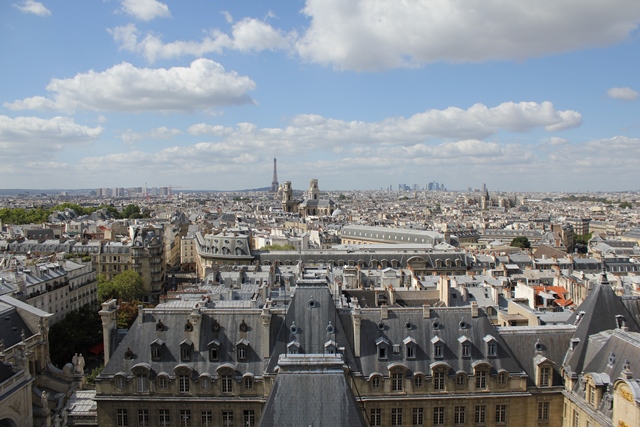 Vue de Paris et de la Sorbonne depuis la Tour d'astronomie_classement_QS_2015_Illu